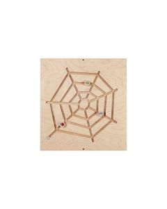 Learning Wall Spider Web